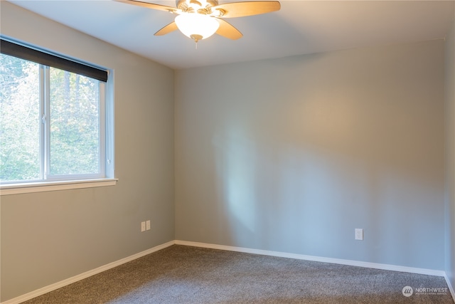 unfurnished room with carpet flooring and ceiling fan