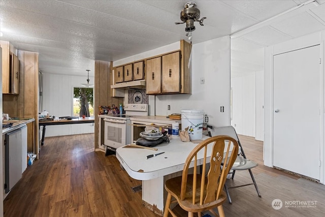 kitchen with a textured ceiling, ceiling fan, dark wood-type flooring, and white range with electric cooktop