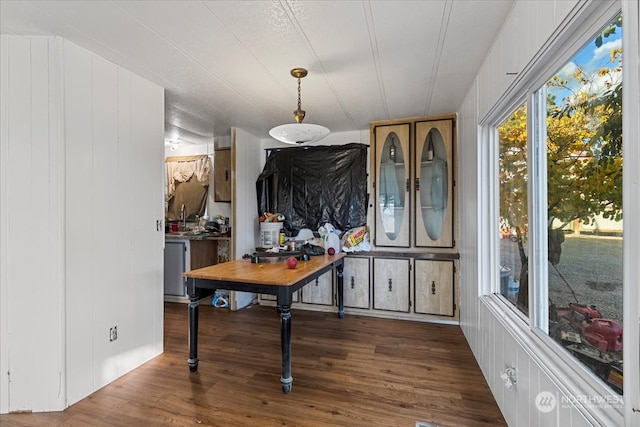 dining room with wooden walls and dark wood-type flooring