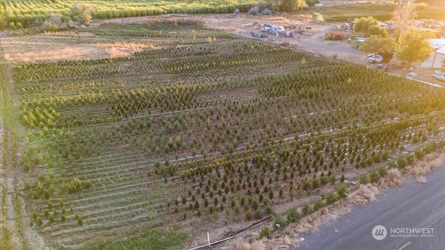 bird's eye view featuring a rural view