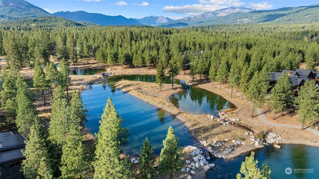 aerial view featuring a water and mountain view