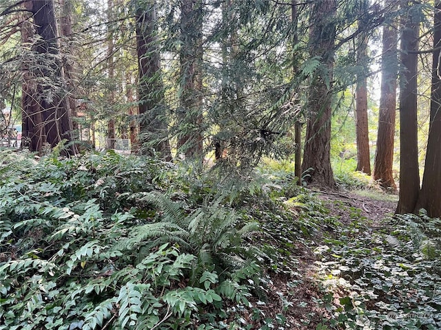 13318 Beverly Park Blvd, Mukilteo, WA 98275 - photo 29