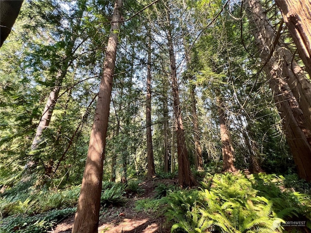 13318 Beverly Park Blvd, Mukilteo, WA 98275 - photo 33
