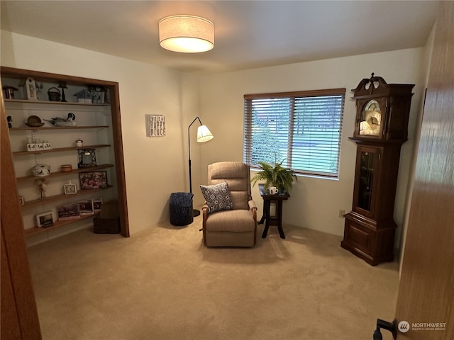 sitting room with carpet