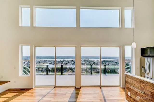 interior space featuring a high ceiling and hardwood / wood-style flooring