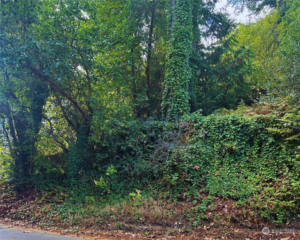 0 S Hartford, Bremerton, WA 98312 - photo 1