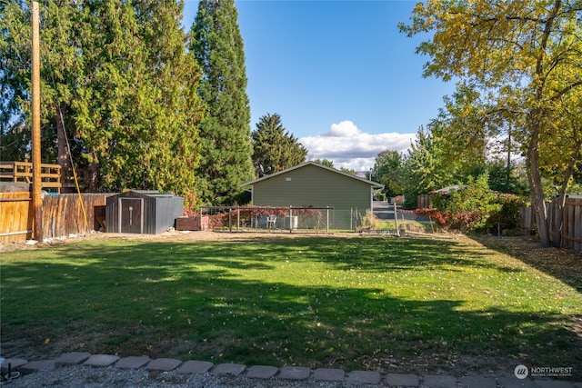 view of yard featuring a shed