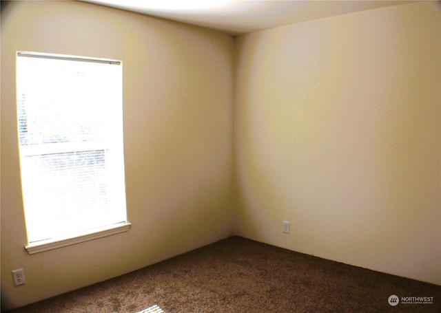 empty room with a healthy amount of sunlight and carpet