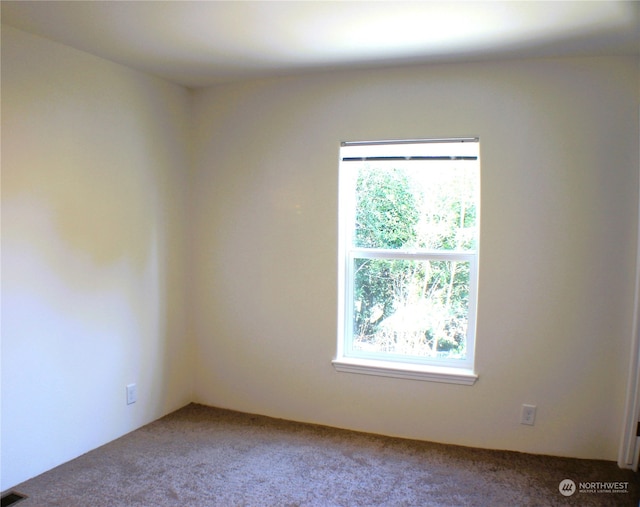 carpeted spare room featuring plenty of natural light