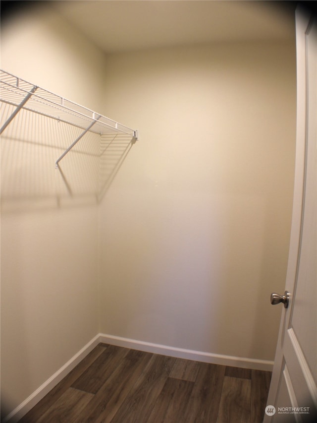 spacious closet featuring dark hardwood / wood-style flooring