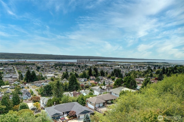 1823 Sam Benn Ln, Aberdeen, WA 98520 - aerial view of residential area with a large body of water