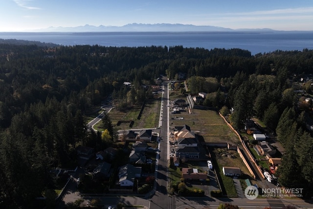 birds eye view of property with a water and mountain view