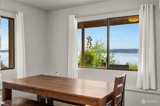 dining space featuring a water view and plenty of natural light