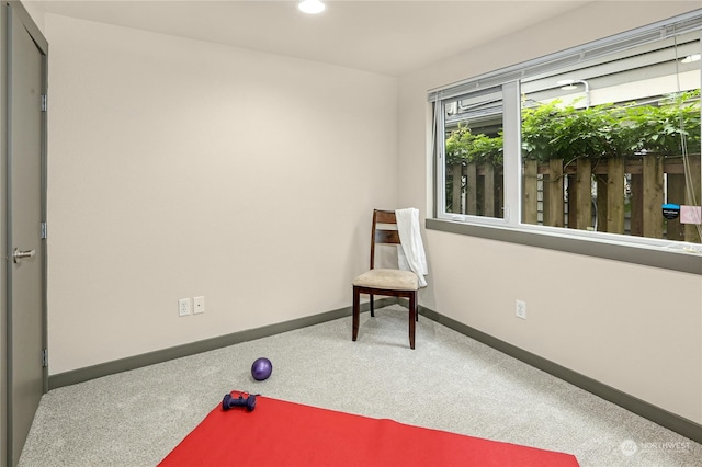 exercise area featuring carpet flooring