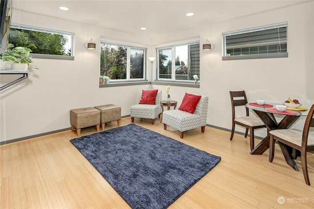 sitting room featuring hardwood / wood-style floors