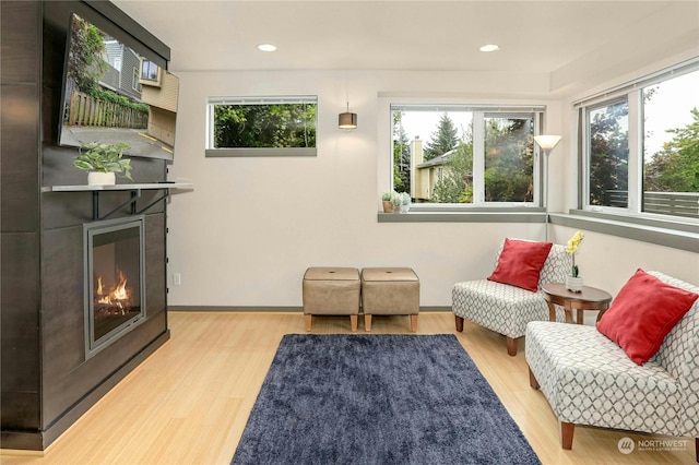 living area featuring a fireplace, light hardwood / wood-style floors, and plenty of natural light