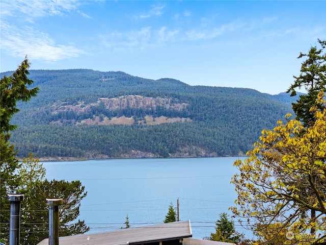 view of water feature with a mountain view