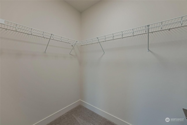 408 Pagget Ave, Winlock, WA 98596 - photo 24