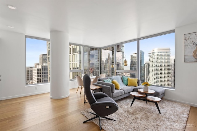 living room featuring light hardwood / wood-style floors