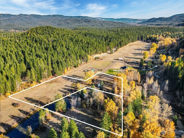 aerial view with a mountain view