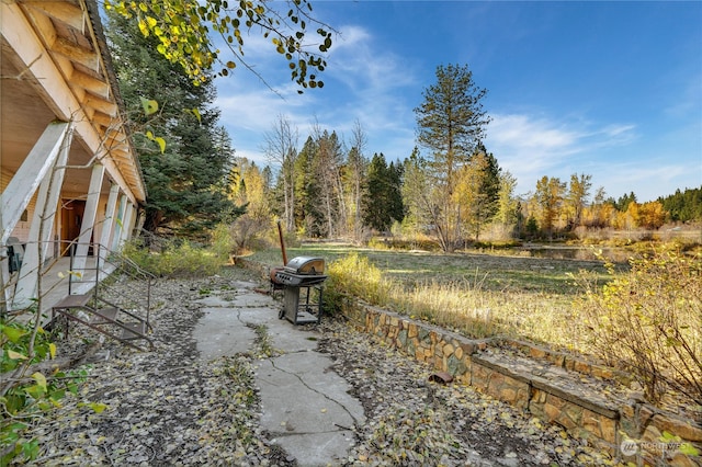 view of yard featuring a patio area