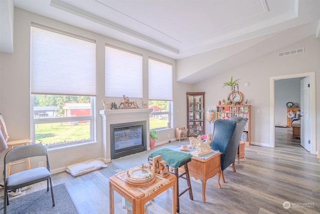 782 S Military Rd, Winlock, WA 98596 - living room with wood finished floors, a raised ceiling, baseboards, and a glass covered fireplace
