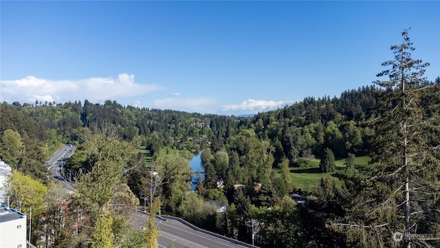 view of mountain feature with a wooded view