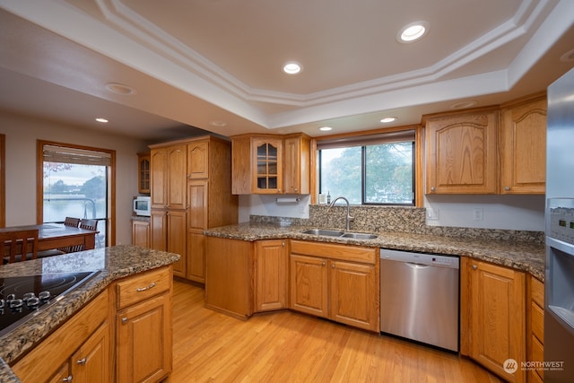 kitchen featuring appliances with stainless steel finishes, sink, plenty of natural light, and a raised ceiling