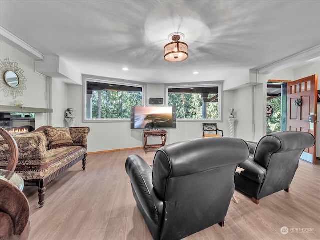 living room with light hardwood / wood-style floors and a healthy amount of sunlight