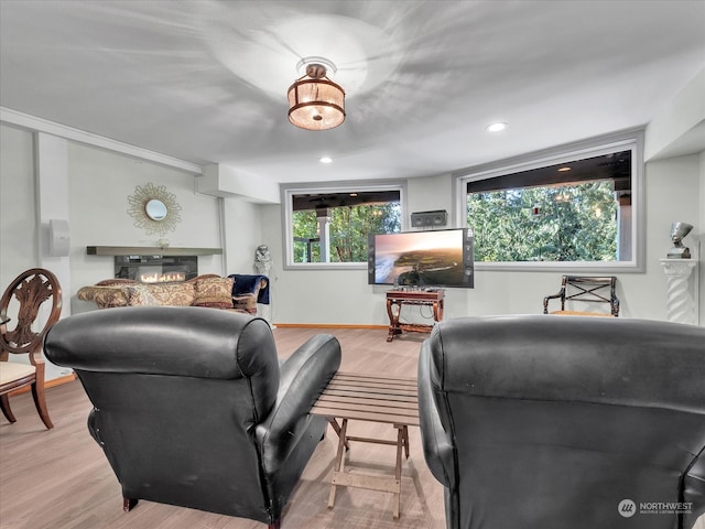 living room featuring light wood-type flooring