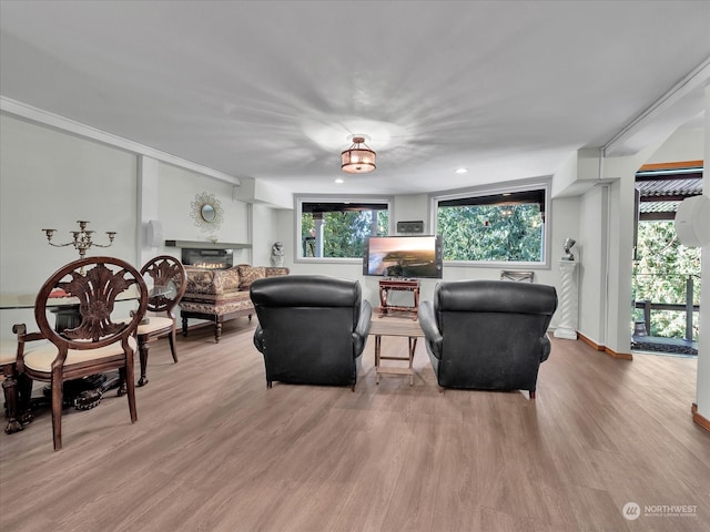 living room featuring light hardwood / wood-style floors