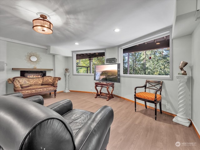 living room featuring light hardwood / wood-style floors