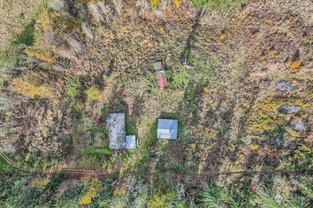 35919 8th Ave S, Roy, WA 98580 - bird's eye view