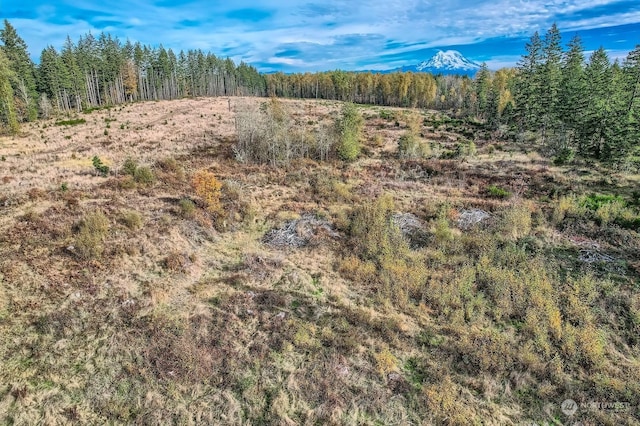 35919 8th Ave S, Roy, WA 98580 - view of mountain background with a heavily wooded area
