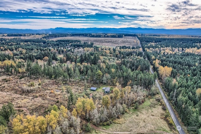 35919 8th Ave S, Roy, WA 98580 - drone / aerial view of a forest and a mountainous background