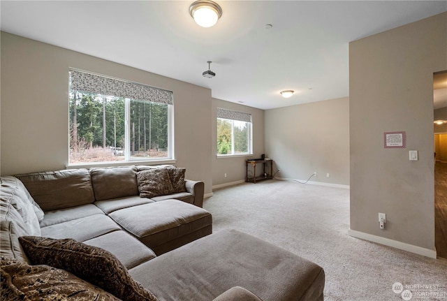 living room with carpet