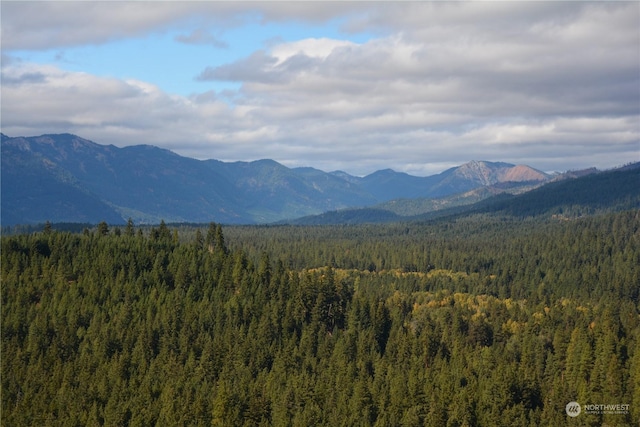 3600 Suncadia Trl Unit 5059, Cle Elum, WA 98922 - view of mountain backdrop with a heavily wooded area