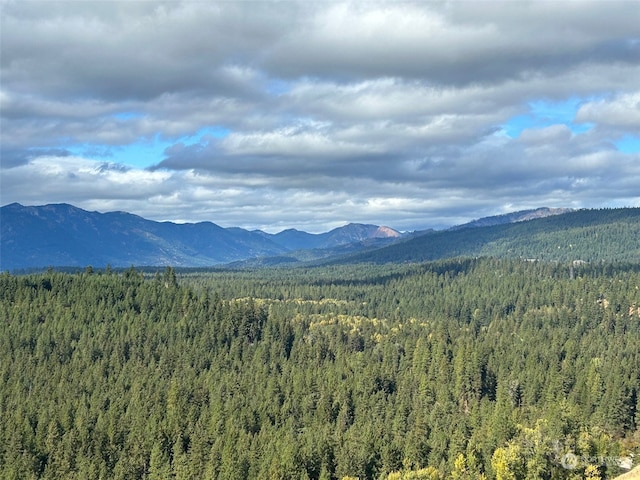 view of mountain feature