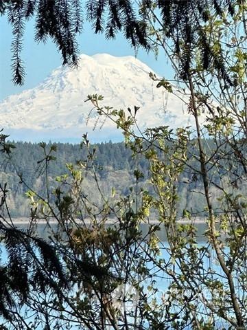 10911 Seaview Dr, Anderson Island, WA 98303 - photo 1