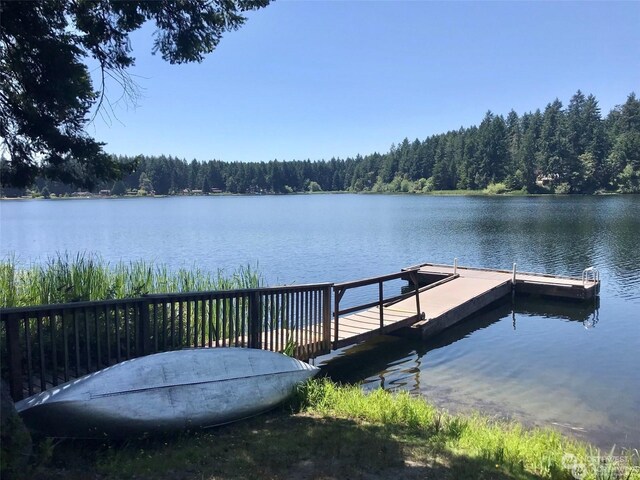10911 Seaview Dr, Anderson Island, WA 98303 - photo 7