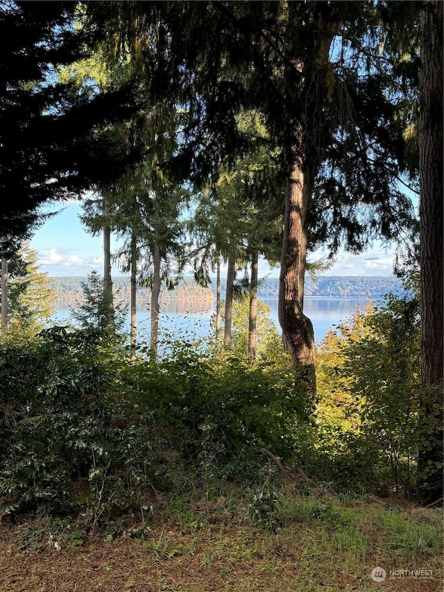10911 Seaview Dr, Anderson Island, WA 98303 - photo 2