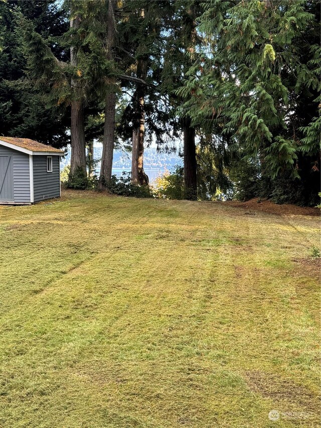 10911 Seaview Dr, Anderson Island, WA 98303 - photo 3