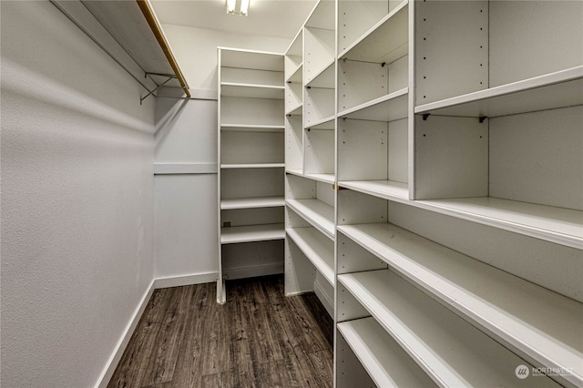 walk in closet with dark hardwood / wood-style flooring