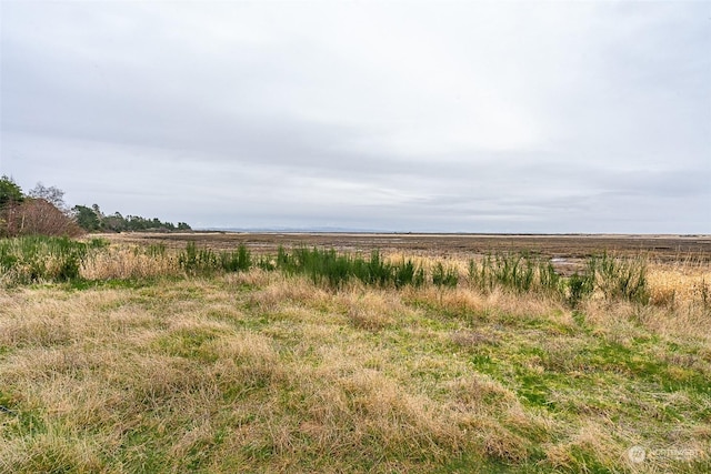 2680 Sunset Ln, Tokeland, WA 98590 - photo 7
