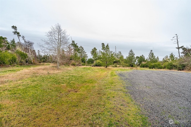 2680 Sunset Ln, Tokeland, WA 98590 - photo 9