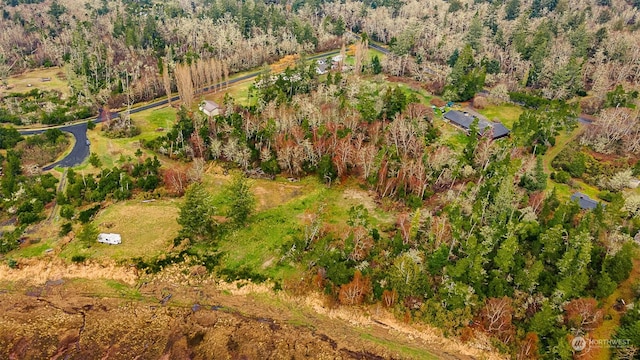2680 Sunset Ln, Tokeland, WA 98590 - photo 31