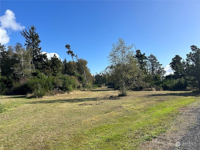 2680 Sunset Ln, Tokeland, WA 98590 - photo 3