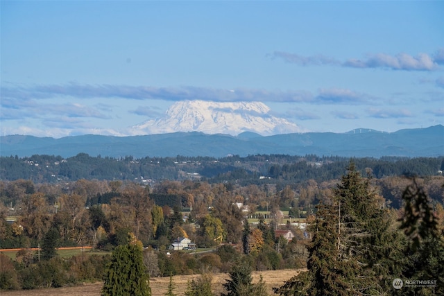 view of mountain feature