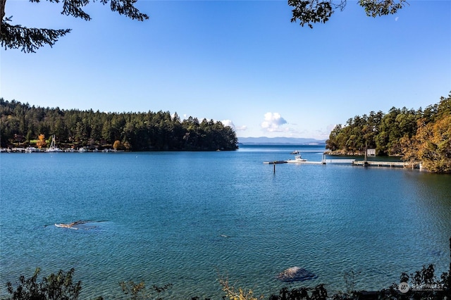308 De Haro Ln, San Juan Island, WA 98250 - view of water feature with a forest view