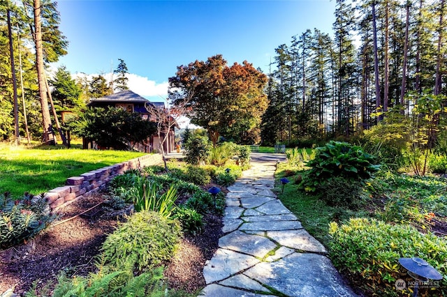 308 De Haro Ln, San Juan Island, WA 98250 - view of yard